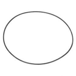 Picture of O-Ring