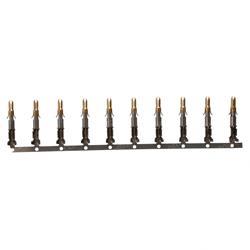 Picture of Contact Pin Amp Mnl Gold