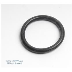 Picture of O-Ring
