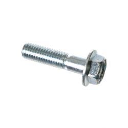 Picture of Screw