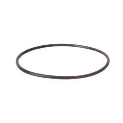 Picture of O-Ring
