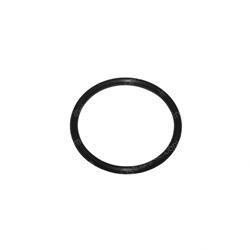Picture of O-Ring