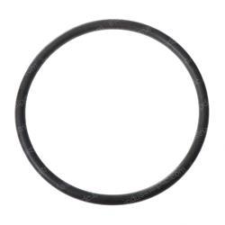 Picture of O-Ring