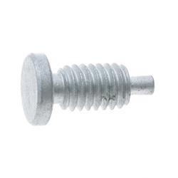 Picture of Bolt