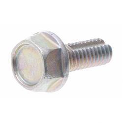 Picture of Bolt