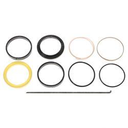 Picture of Ram Seal Set