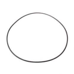 Picture of O-Ring