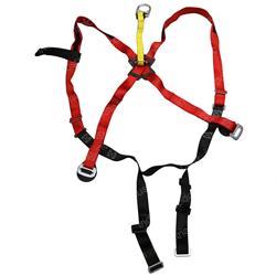 Picture of Harness- Body