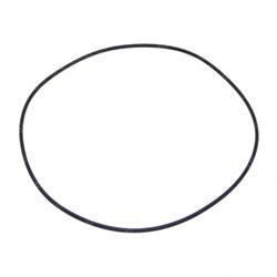 Picture of O-Ring