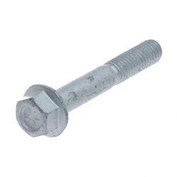 Picture of Bolt