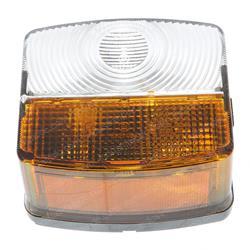 Picture of Light - Indica