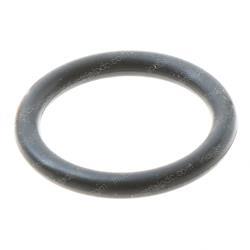 Picture of O Ring