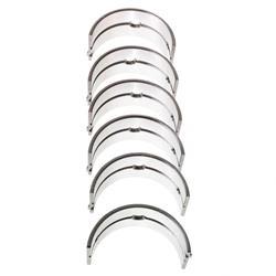 Picture of Bearing Kit - Main .75mm