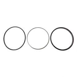 Picture of Seal 9238280539