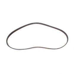 Picture of Belt - Serpentine