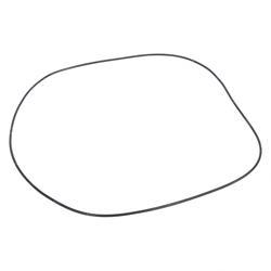 Picture of O-Ring