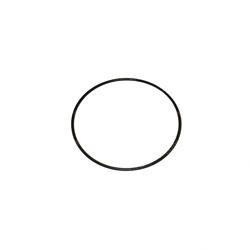 Picture of O-Ring