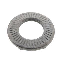 Picture of Lock Washer Dd 08x18