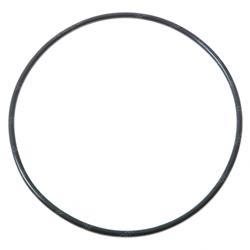 Picture of O-Ring