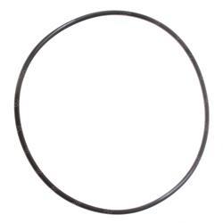 Picture of O-Ring