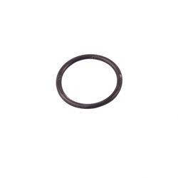 Picture of O-Ring