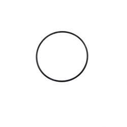Picture of O-Ring