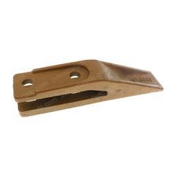 Picture of Tooth