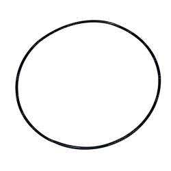 Picture of Seal - Org