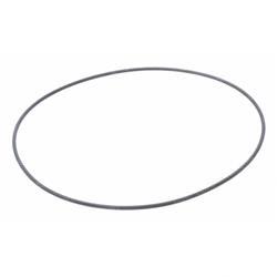 Picture of O-Ring R909154589 Rexroth