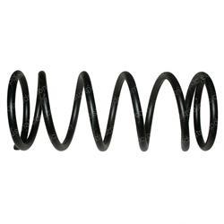 Picture of Spring
