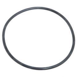 Picture of O-Ring