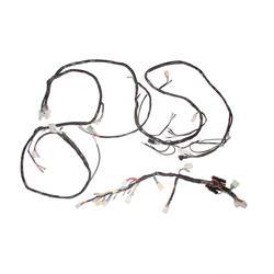 Picture of Harness