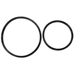 Picture of Seal Kit- Auburn Brake Piston